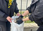 ҚР ПІБ МО ауруханасы TazaLike жобасы аясында екінші сенбілік өткізді