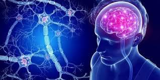 "МОЗГ БЕЗ ИНСУЛЬТА: ФАКТОРЫ РИСКА и ПРАВИЛА ПРОФИЛАКТИКИ"