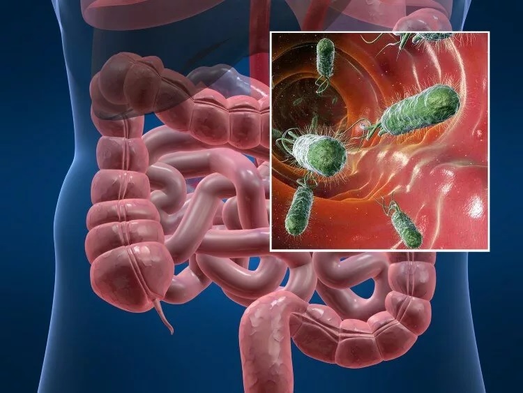 ЛЕТО – «БЛАГОПРИЯТНАЯ ПОРА» ДЛЯ ОСТРЫХ КИШЕЧНЫХ ИНФЕКЦИЙ