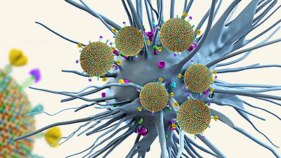 ПОЧЕМУ ЗИМА ПРИВЕЛА К РОСТУ ЧИСЛА ЗАБОЛЕВАНИЙ COVID-19  И КАК УБЕРЕЧЬСЯ ОТ ЗАРАЖЕНИЯ?