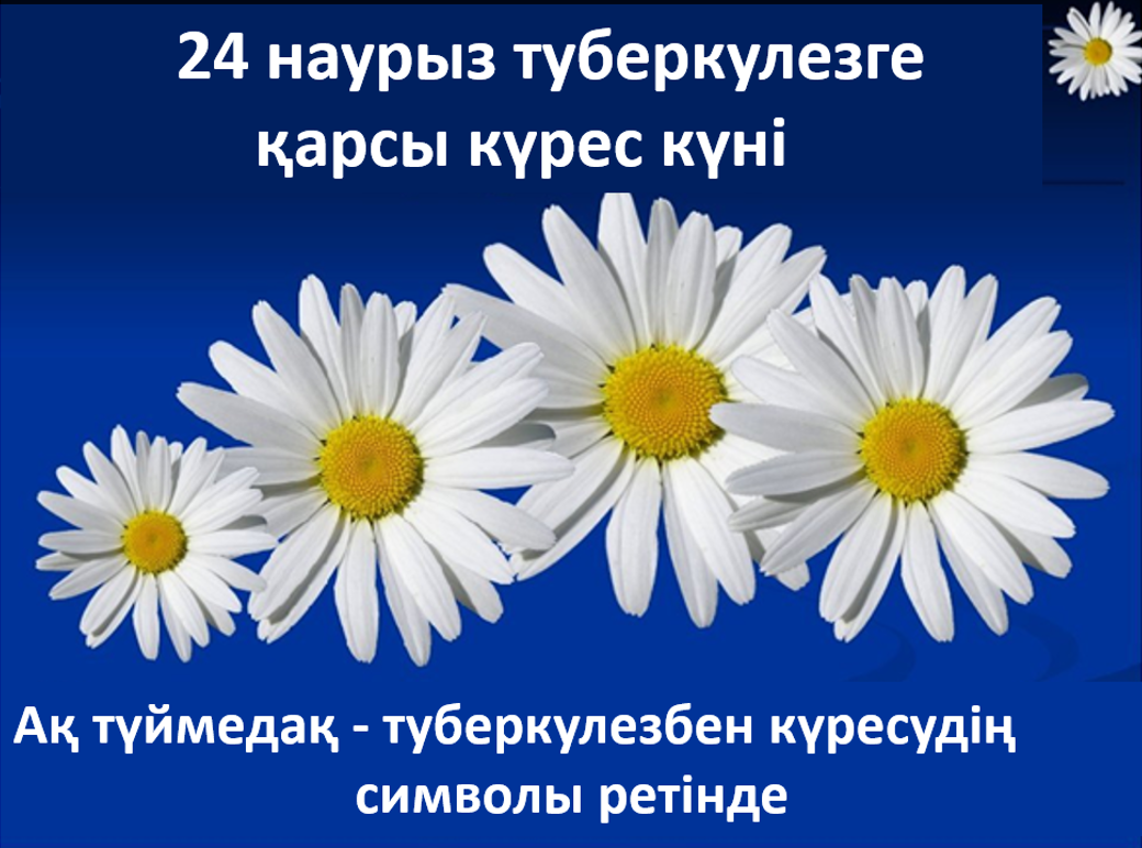 Туберкулездің қалай алдын алуға болады?