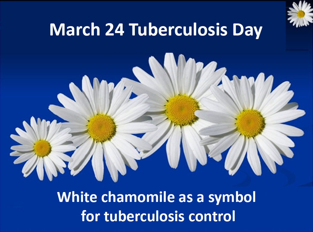 How to prevent TUBERCULOSIS?