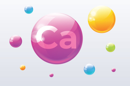 Calcium in the human body