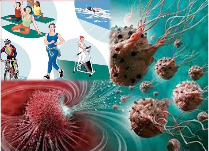LOW PHYSICAL ACTIVITY AS A RISK FACTOR FOR CANCER