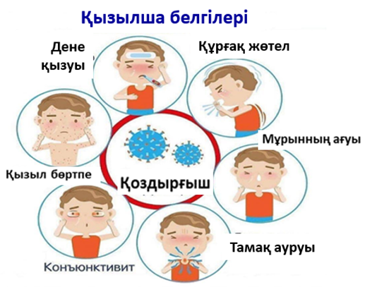 Қызылша белгілері.png