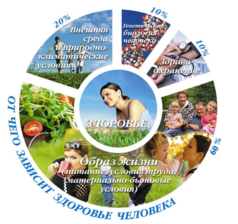 2017.06.21 Принципы хорошего здоровья 2