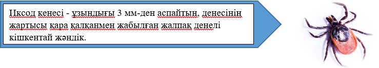 Без имени1.png