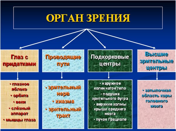 2016.12.15 Как сохранить зрение ЗОЖ 2