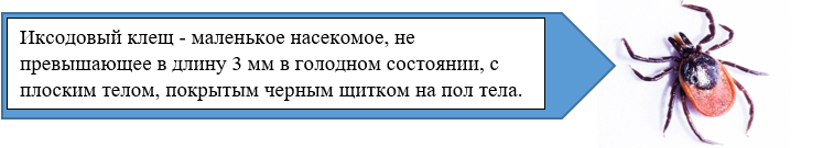 Без имени.png