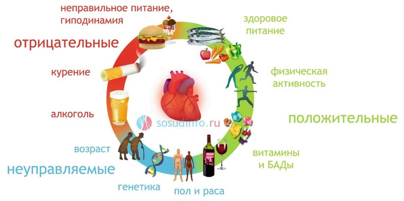 2017.06.21 Принципы хорошего здоровья 3